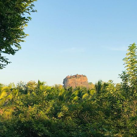 Chena Huts Eco Resort Sigiriya Dış mekan fotoğraf
