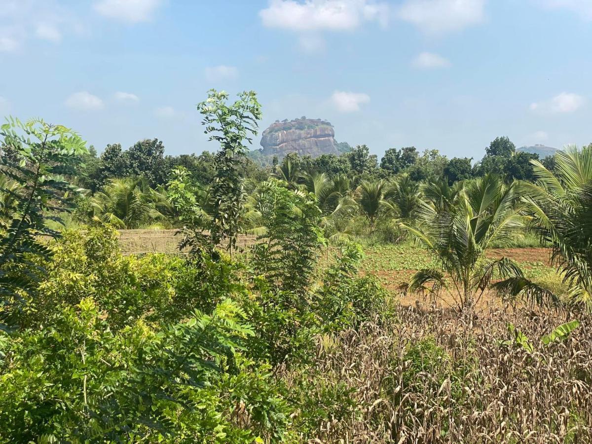 Chena Huts Eco Resort Sigiriya Dış mekan fotoğraf