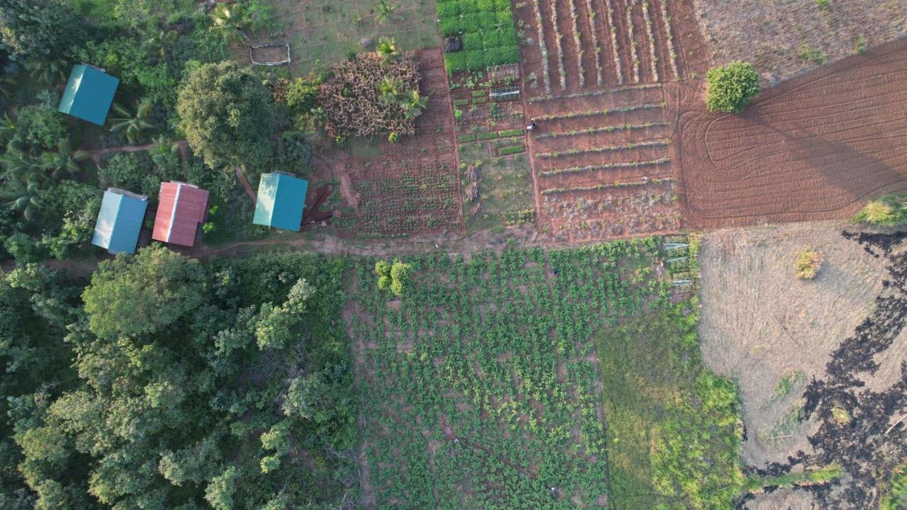 Chena Huts Eco Resort Sigiriya Dış mekan fotoğraf