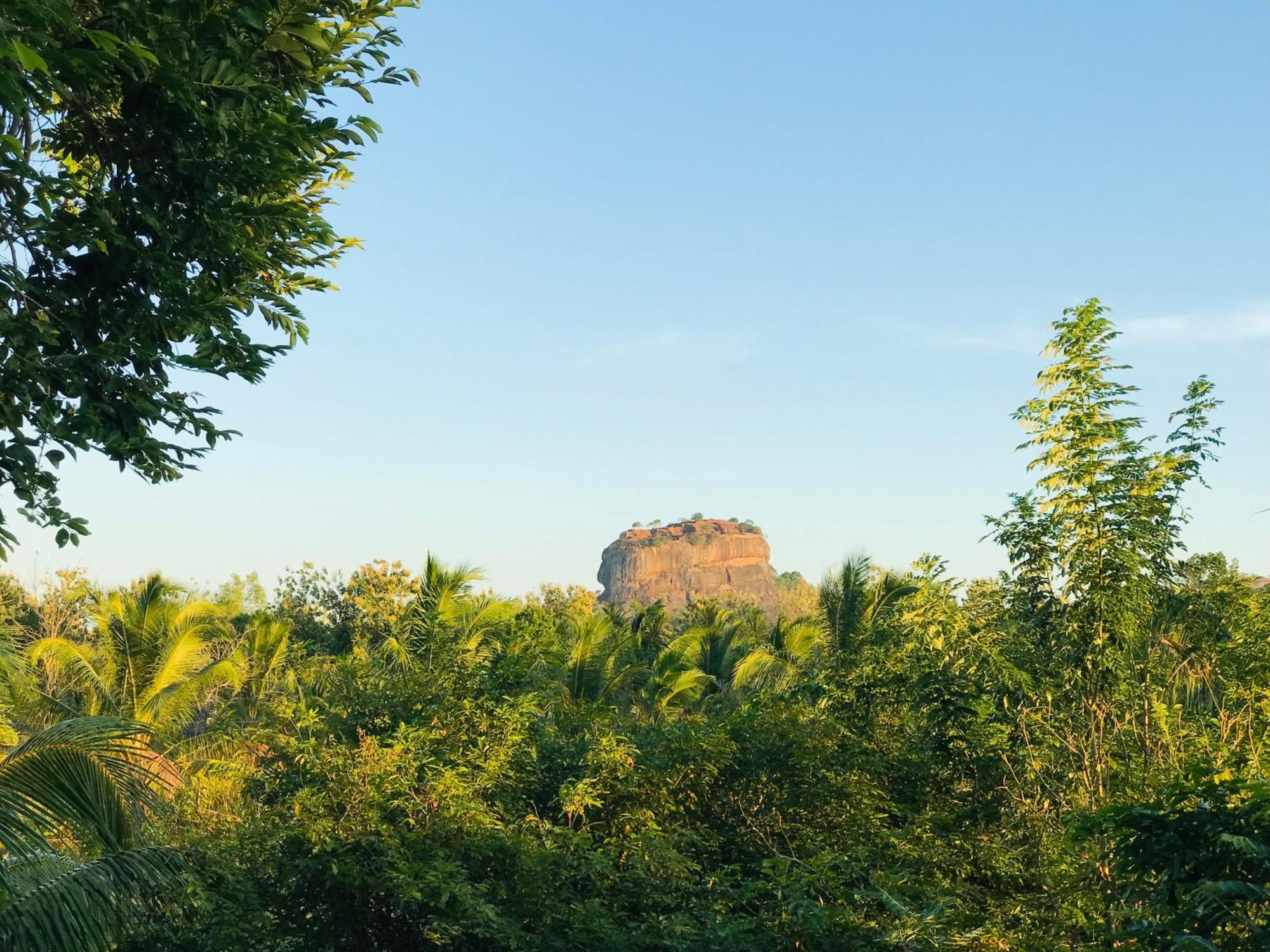 Chena Huts Eco Resort Sigiriya Dış mekan fotoğraf