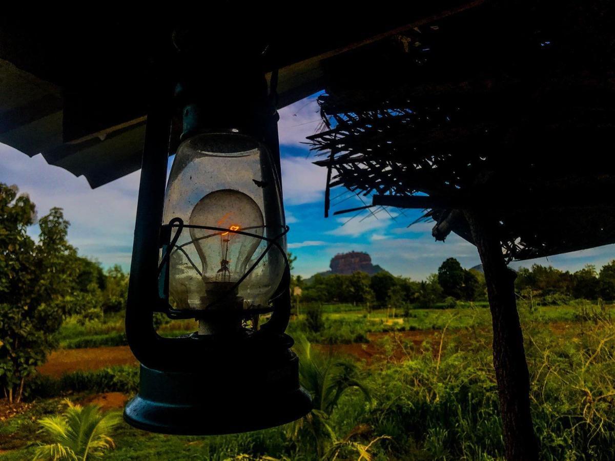 Chena Huts Eco Resort Sigiriya Dış mekan fotoğraf